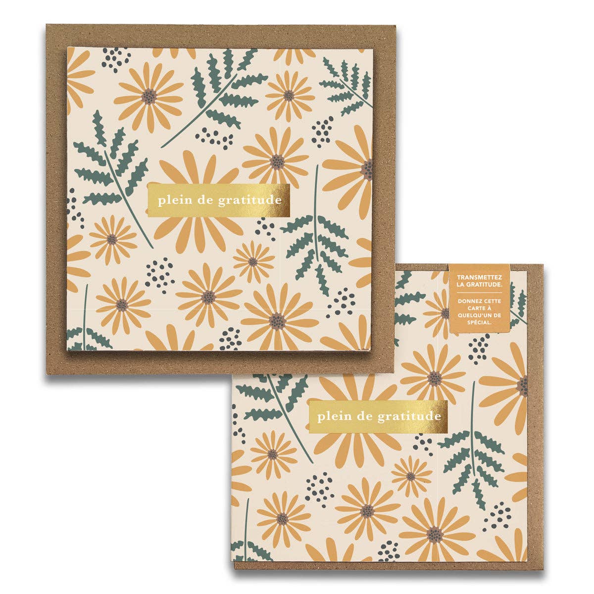 French Hello Daisy Floral  « Plein de Gratitude » — Cartes de Gratitude (Ensemble de 2) — Cartes à Transmettre