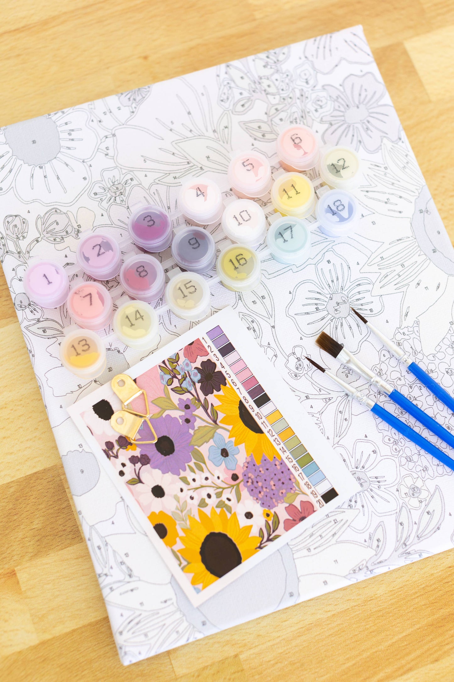 Rainbow Garden Paint By Number Kit