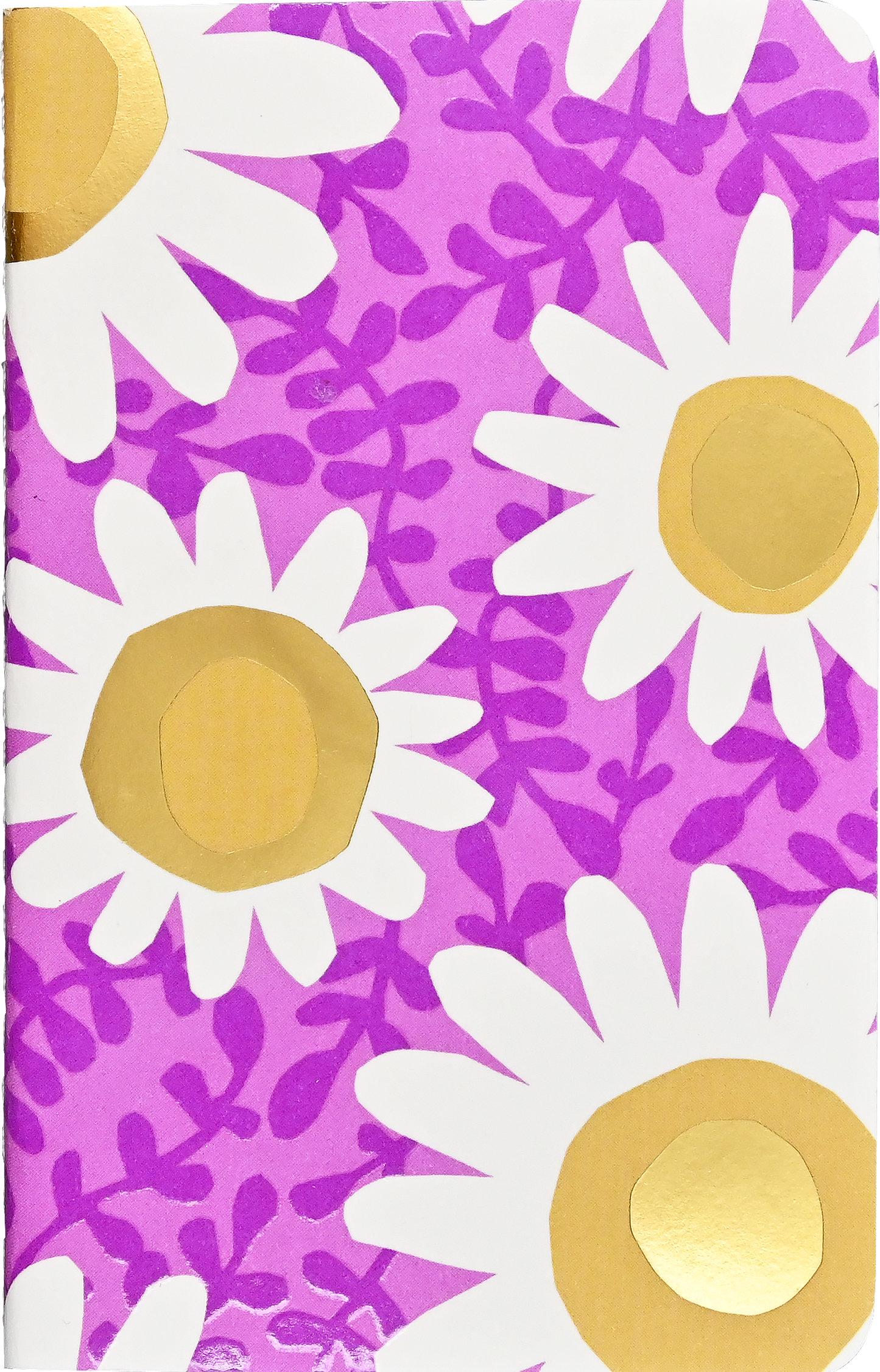 Jotter Mini Notebooks: Daisies