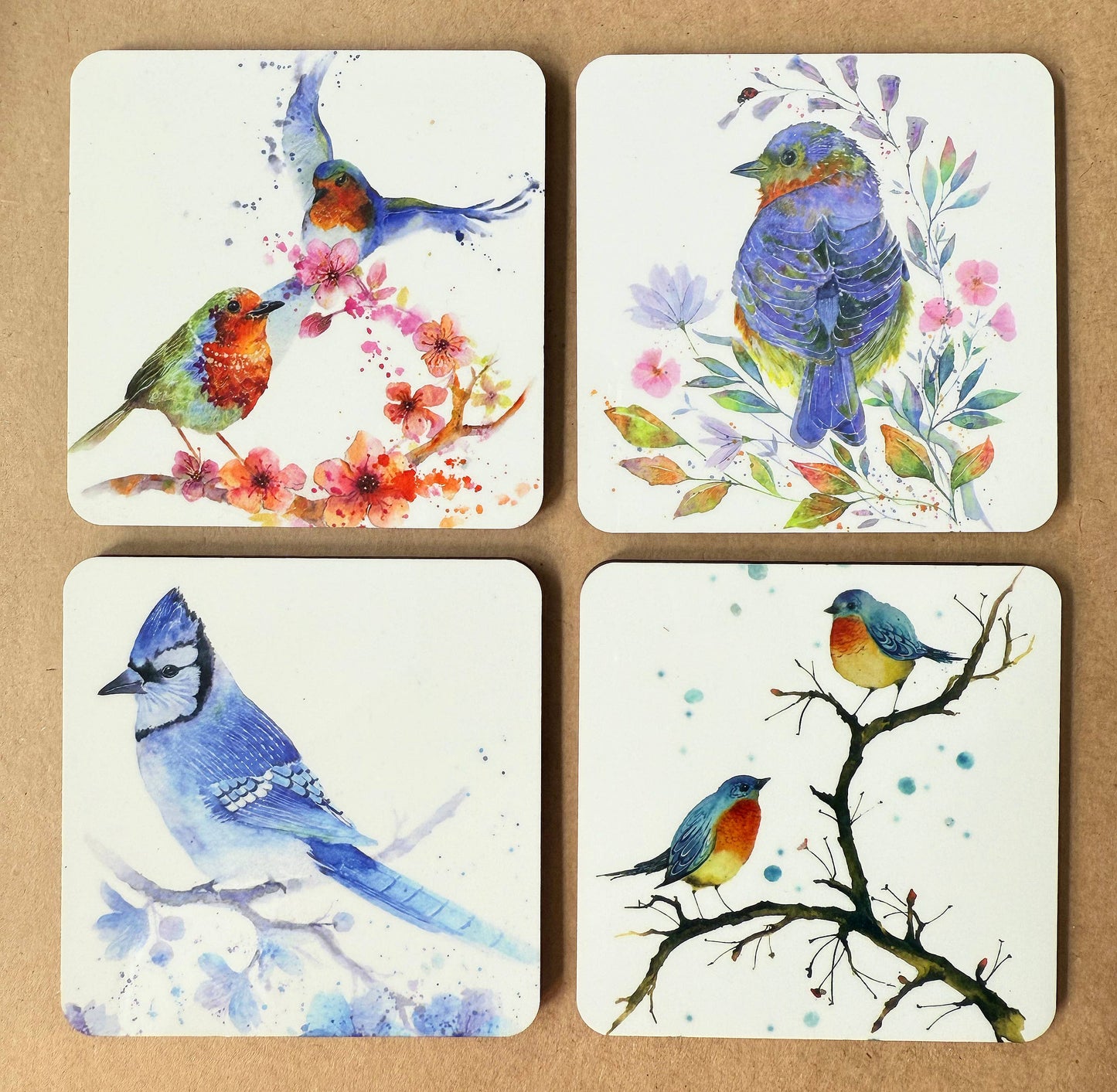 Coaster - Shimmer - (C-SHI) Blue Jay Bird Blossoms