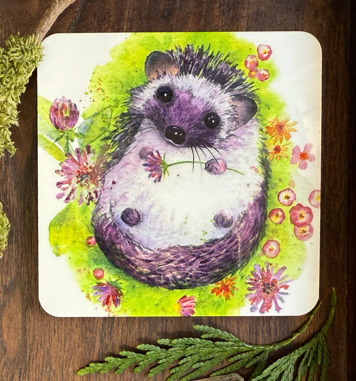 Coaster - Over The Hedge - (C-OTH)  Hedgehog