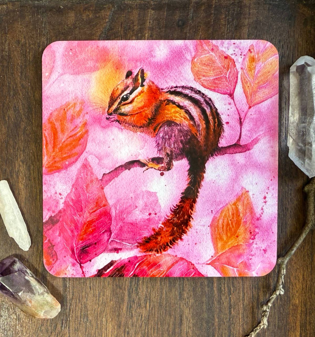 Coaster - Chippy - (C-CHI)  Cute Chipmunk