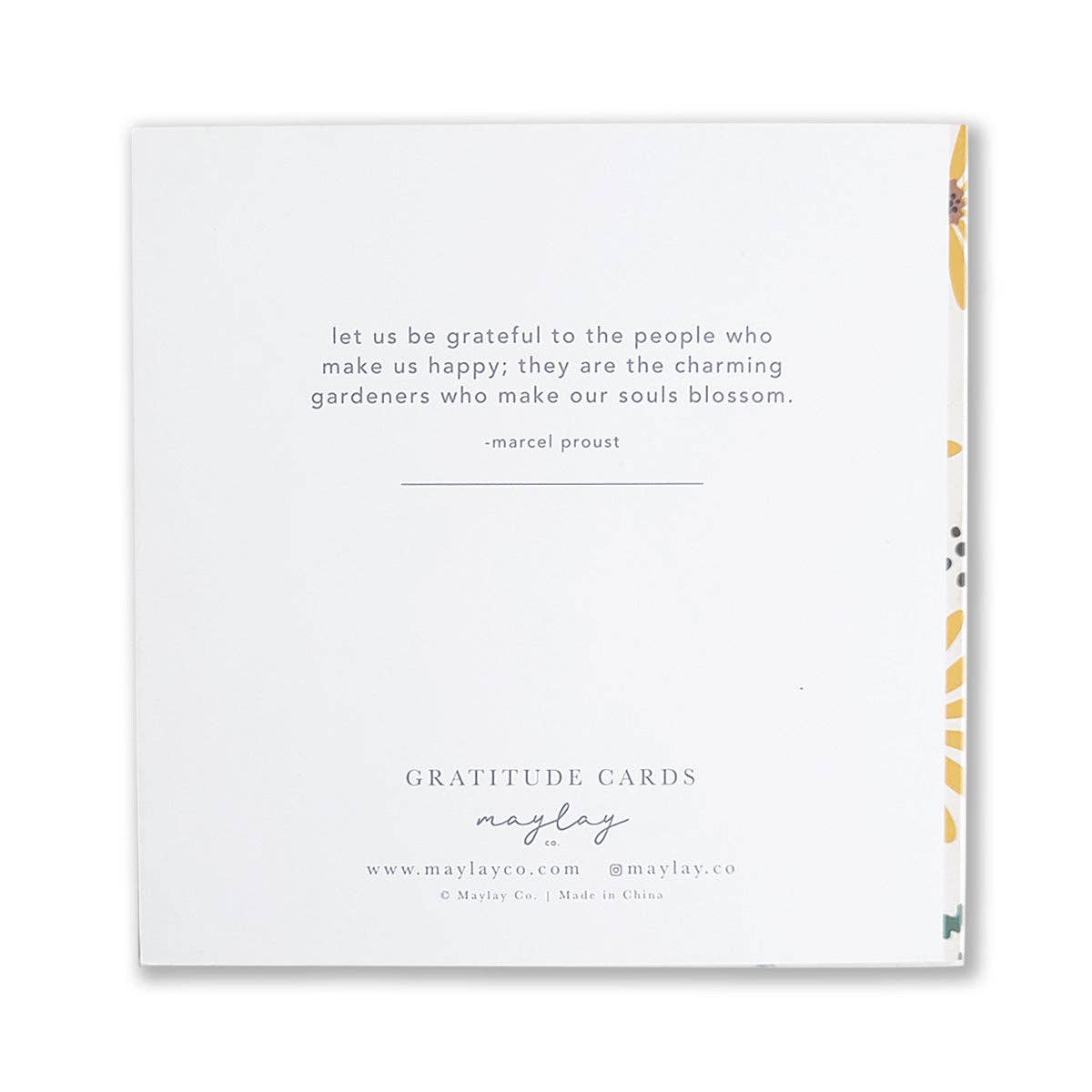 Hello Daisy Floral "I Am Grateful" Gratitude Greeting Cards (Set of 2) — Pay-It-Forward Thank You Cards