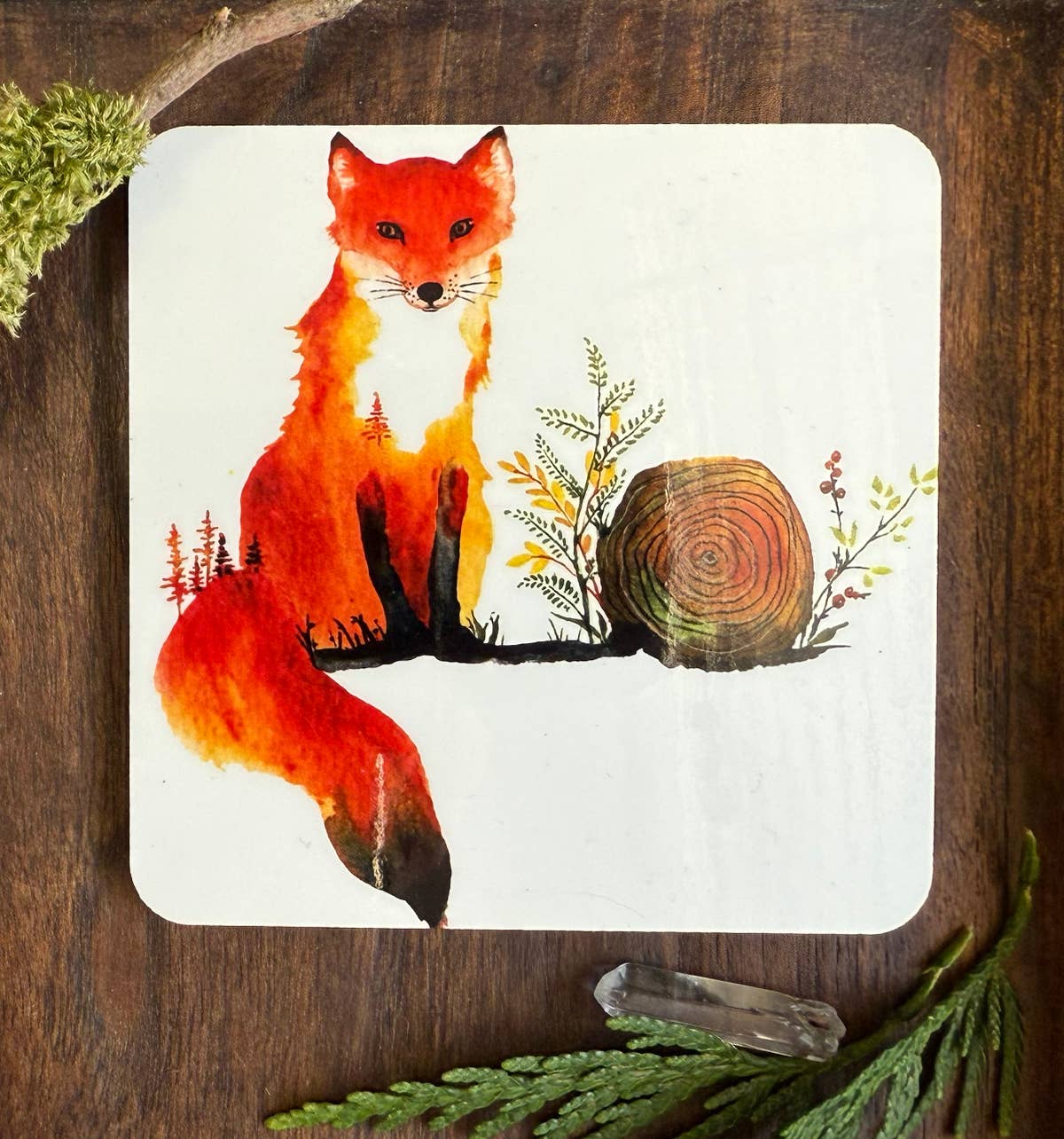 Coaster - Indie - (C-IND)  Cute Red Fox
