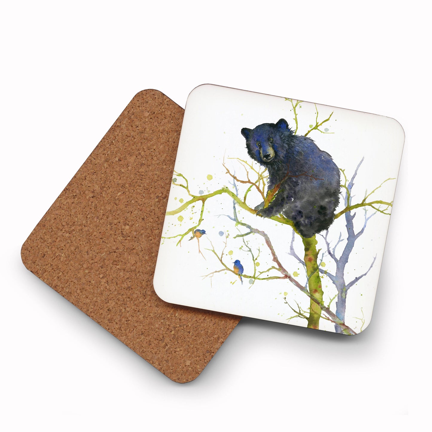 Coaster - Out on the Limb - (C-OAL)  Bear Cub