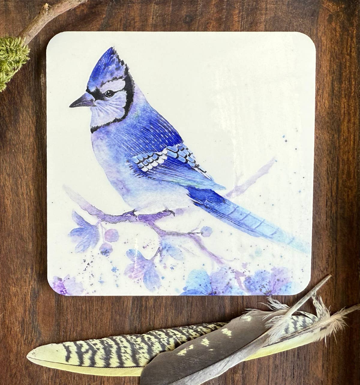 Coaster - Shimmer - (C-SHI) Blue Jay Bird Blossoms