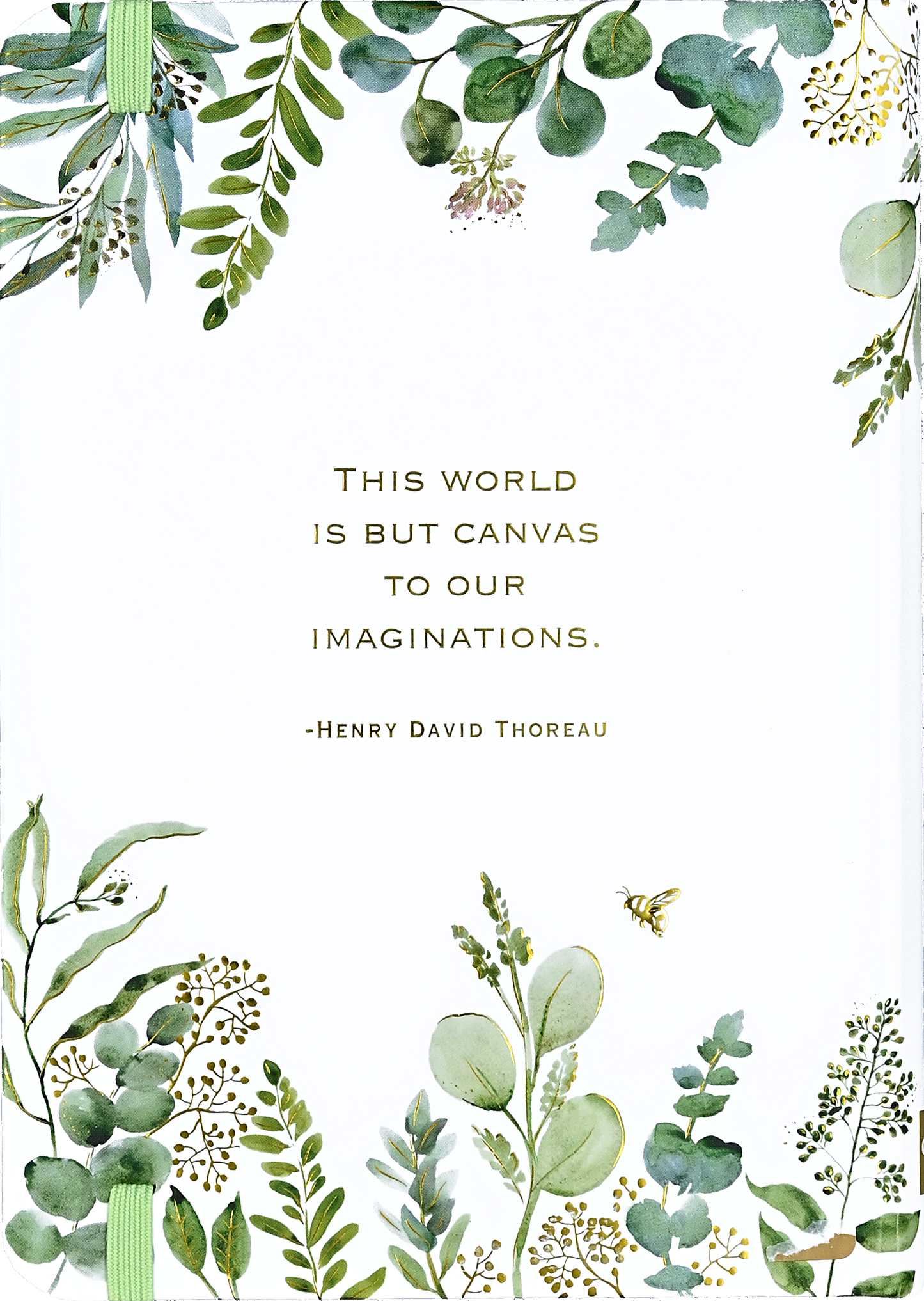 Eucalyptus Journal