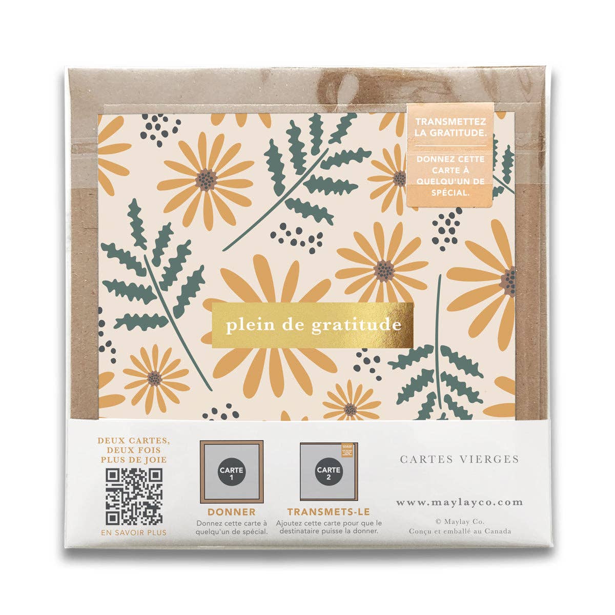 French Hello Daisy Floral  « Plein de Gratitude » — Cartes de Gratitude (Ensemble de 2) — Cartes à Transmettre