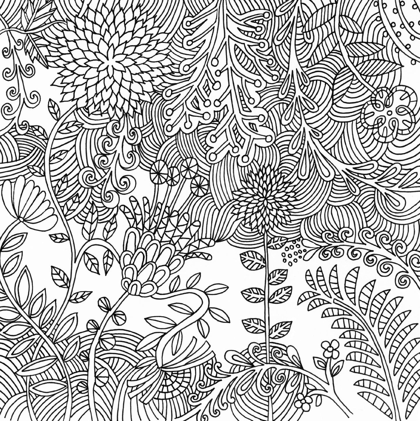 Serenity Artist's Coloring Book