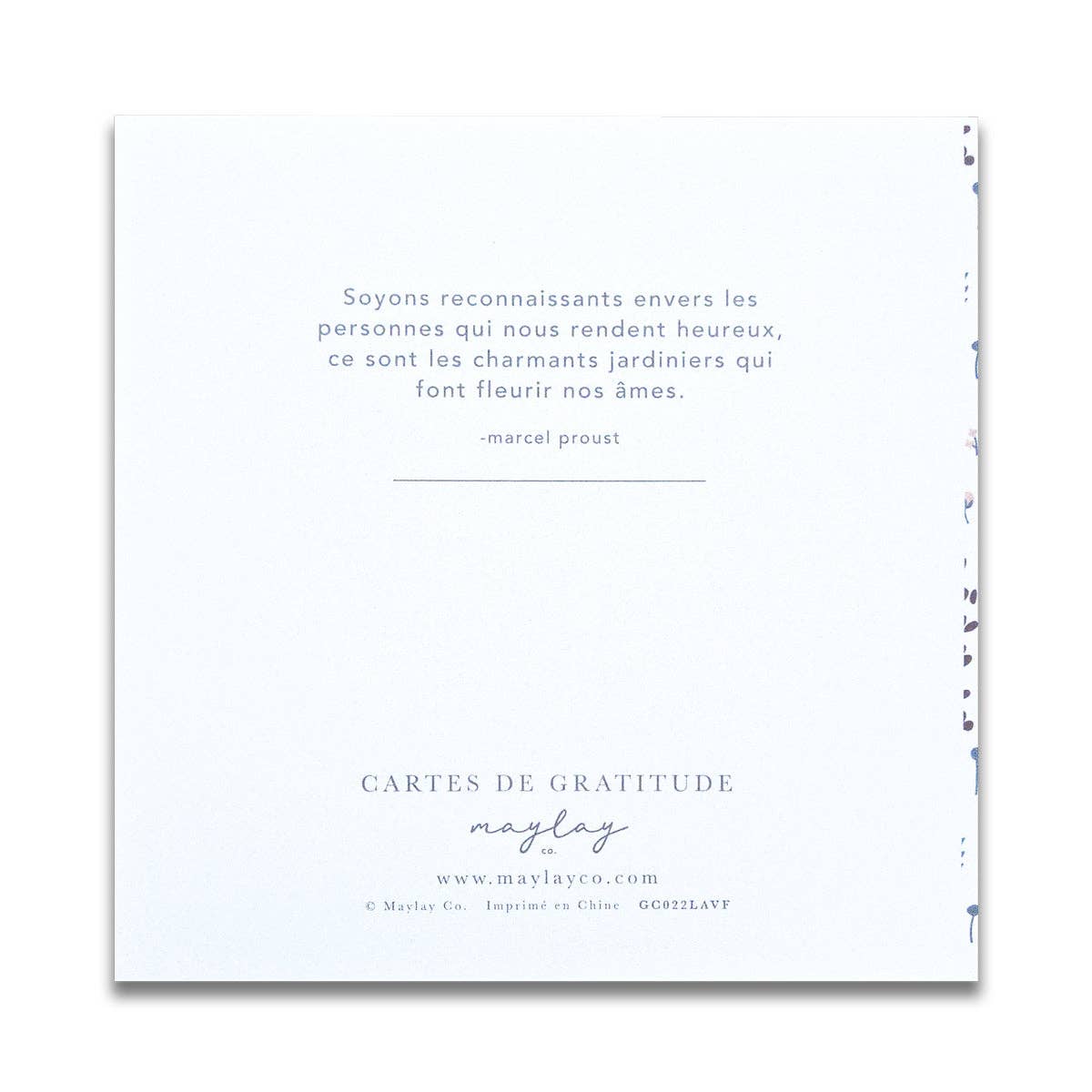 French Hello Daisy Floral  « Plein de Gratitude » — Cartes de Gratitude (Ensemble de 2) — Cartes à Transmettre