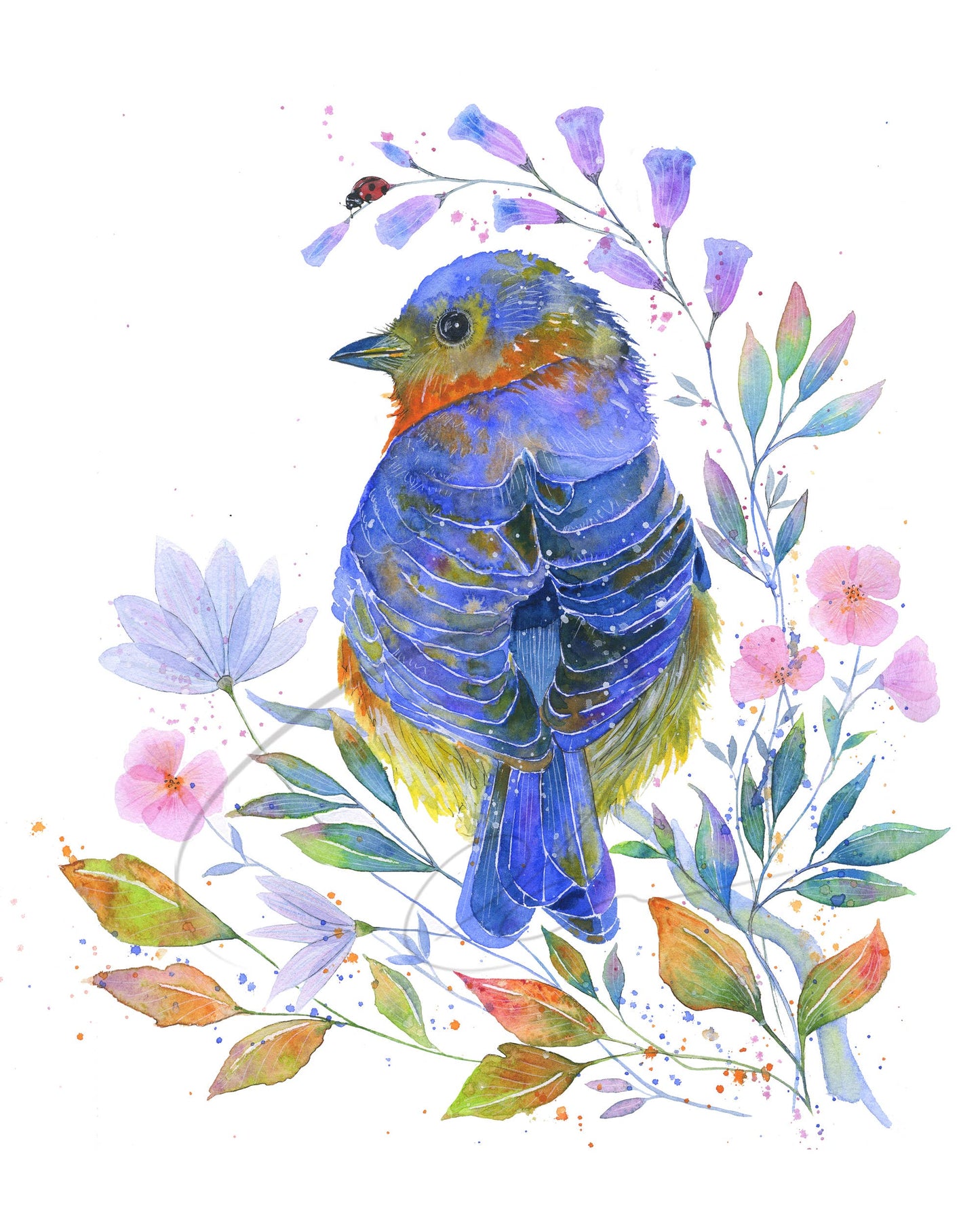 Greeting Card - Bluebell - Colourful Watercolour Bird