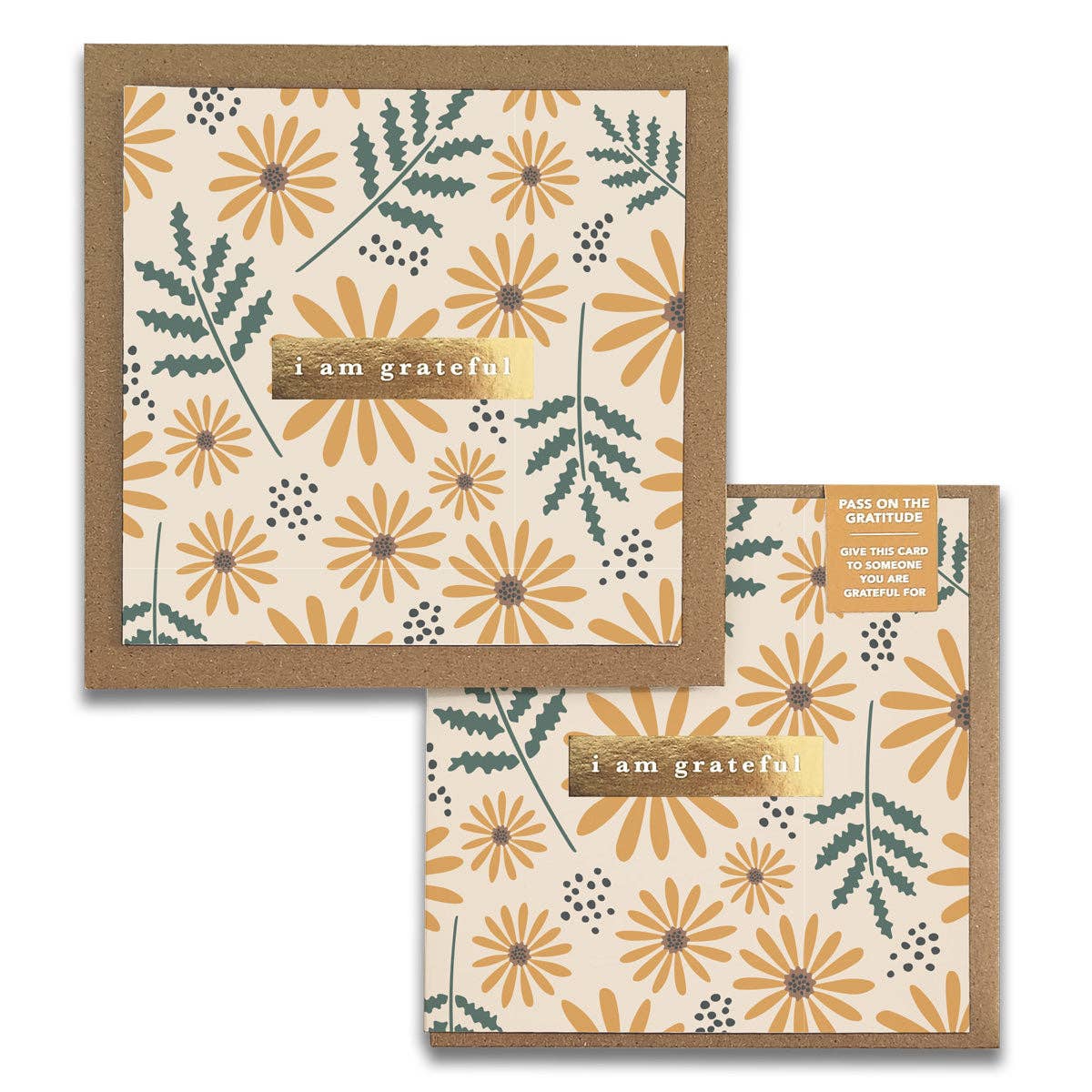 Hello Daisy Floral "I Am Grateful" Gratitude Greeting Cards (Set of 2) — Pay-It-Forward Thank You Cards