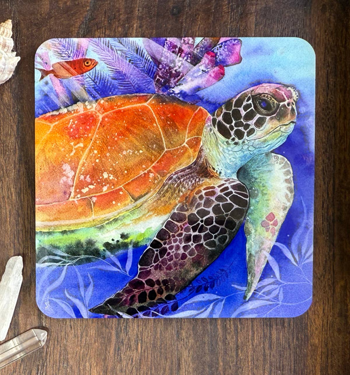 Coaster - Cruising - (C-CRU)  Sea Turtle