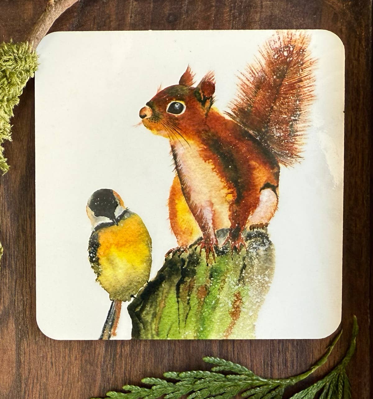 Coaster - Company - (C-COM)  Squirrel and Bird
